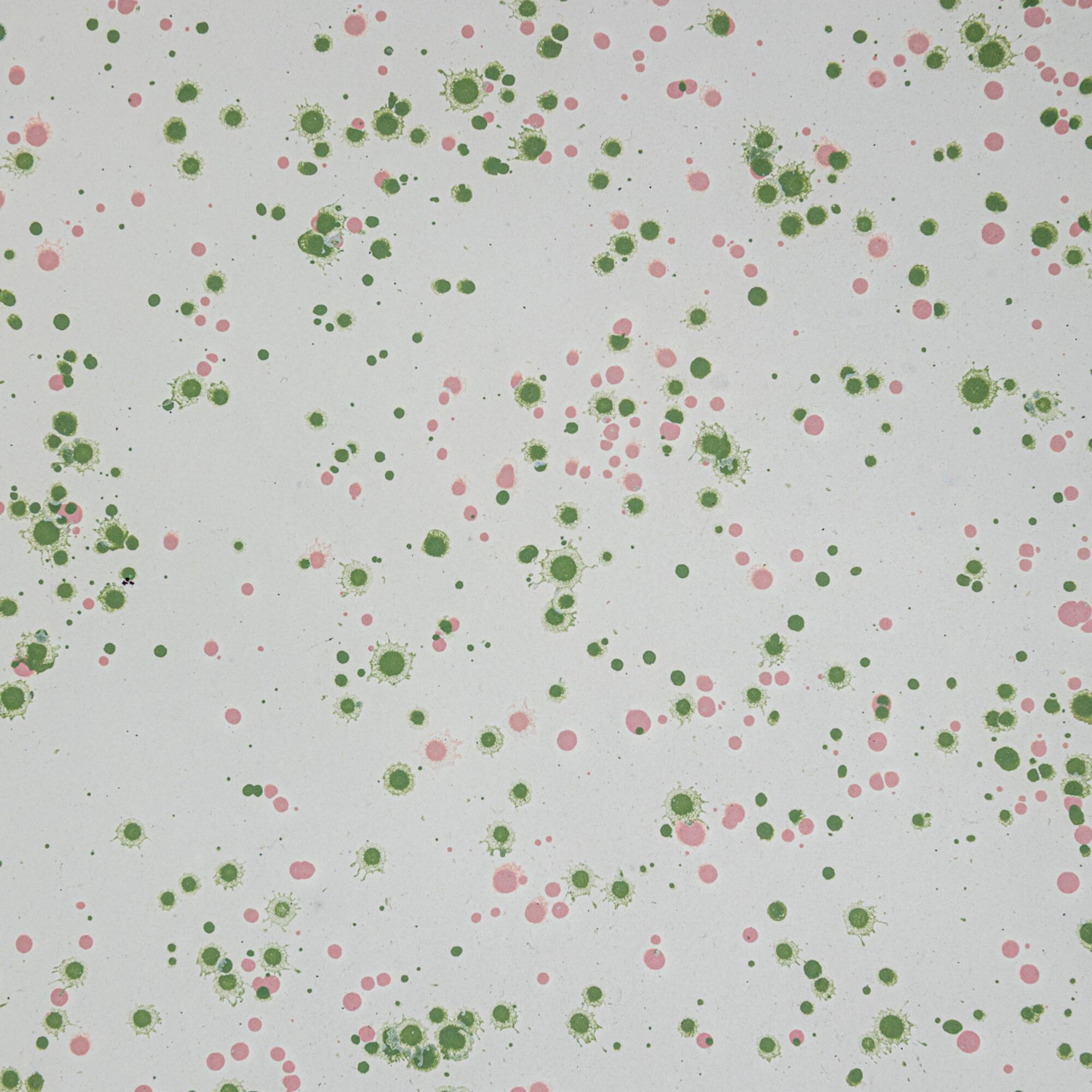Hello Honey® 10.5" Mint & Pink Splatter Enameled Metal Platter
